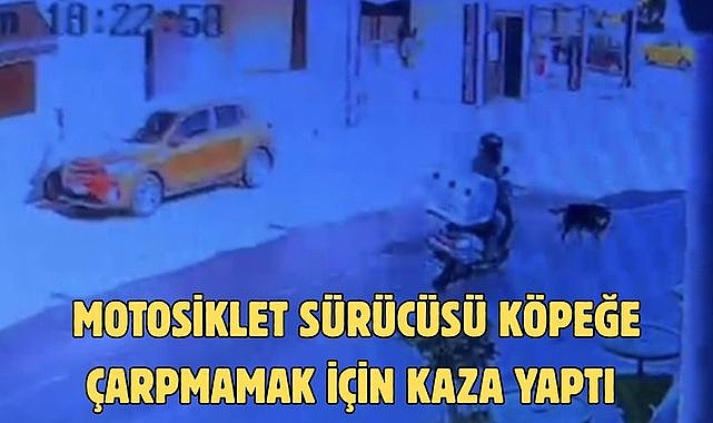 Motosiklet Sürücüsü Köpeğe Çarpmamak İçin Kaza Yaptı