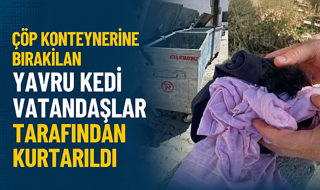 Çöp Konteynerine Bırakılan Yavru Kedi Vatandaşlar Tarafından Kurtarıldı