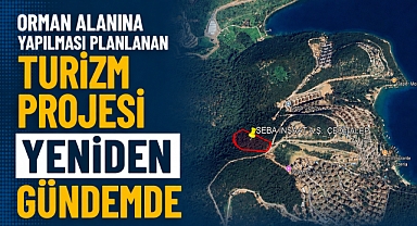 Orman Alanına Yapılması Planlanan Turizm Projesi Yeniden Gündemde