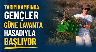 Tarım Kampında Gençler Güne Lavanta Hasadıyla Başlıyor