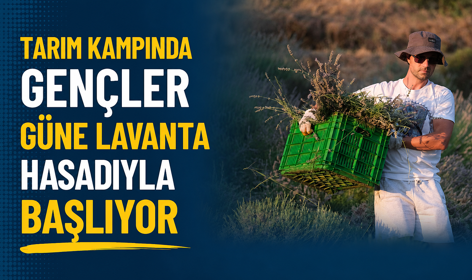 Tarım Kampında Gençler Güne Lavanta Hasadıyla Başlıyor